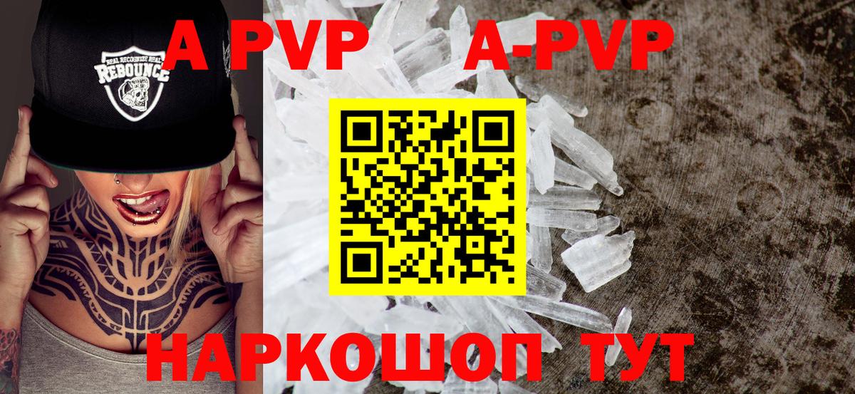A-PVP СК КРИС Гатчина