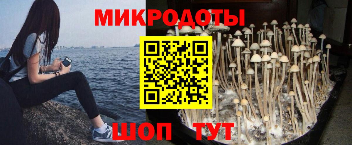 Псилоцибиновые грибы Psilocybine cubensis  Вход с VPN  магазин  наркотиков  Галлюциногенные грибы мицелий  Гатчина 