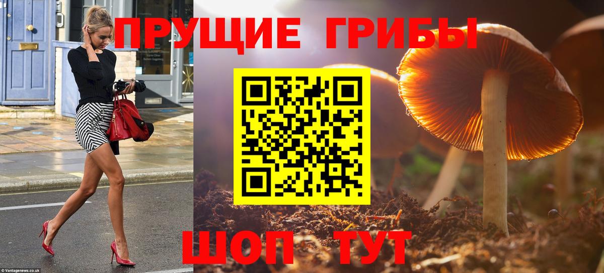 Псилоцибиновые грибы ЛСД Гатчина